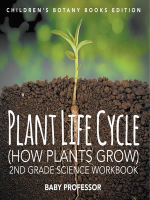 cover image of Plant Life Cycle (How Plants Grow)--2nd Grade Science Workbook--Children's Botany Books Edition
